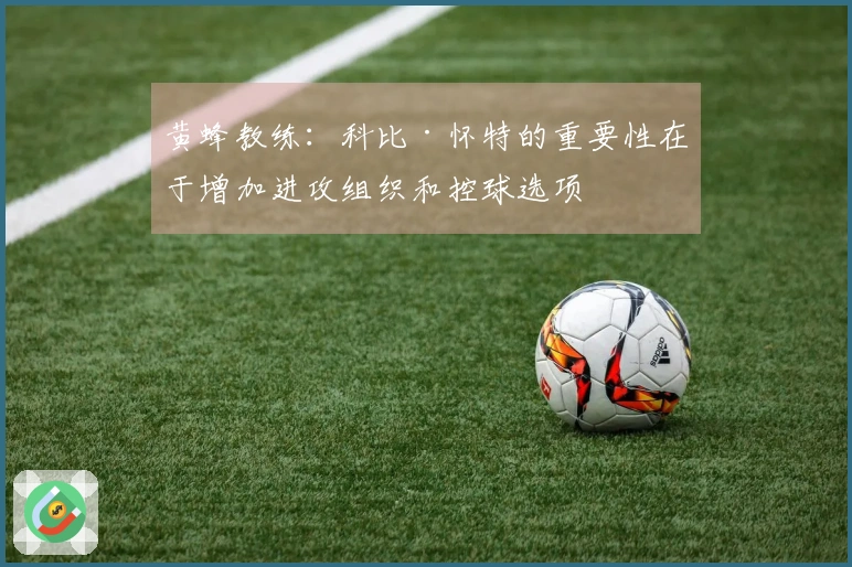 黄蜂教练：科比·怀特的重要性在于增加进攻组织和控球选项